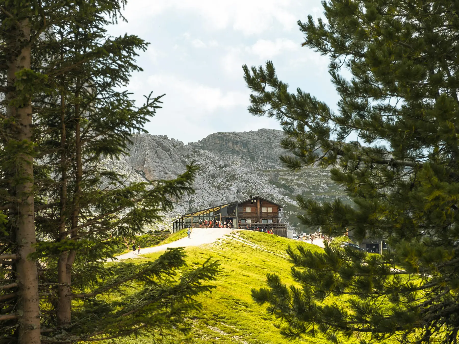 Mountain refugio through alpine trees