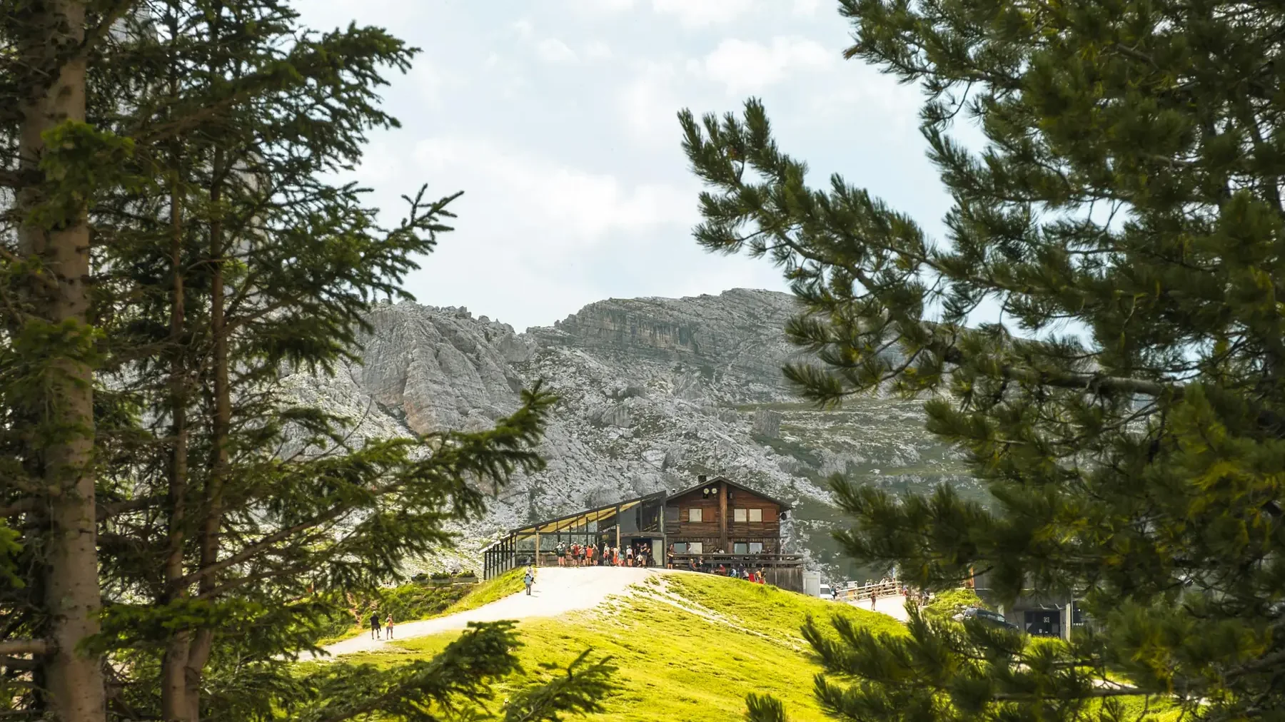 Mountain lodge nestled among alpine trees