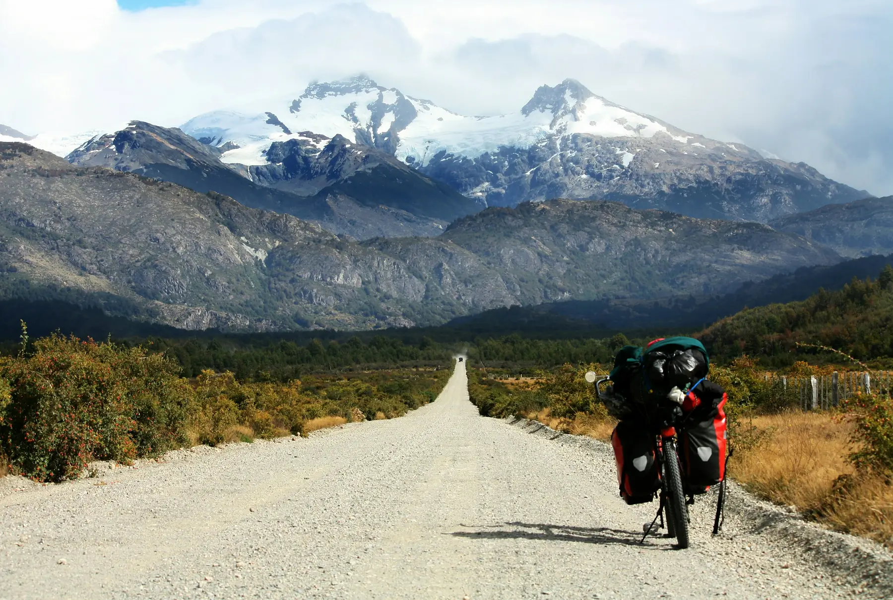 The winding Carretera Austral cutting through temperate rainforest.