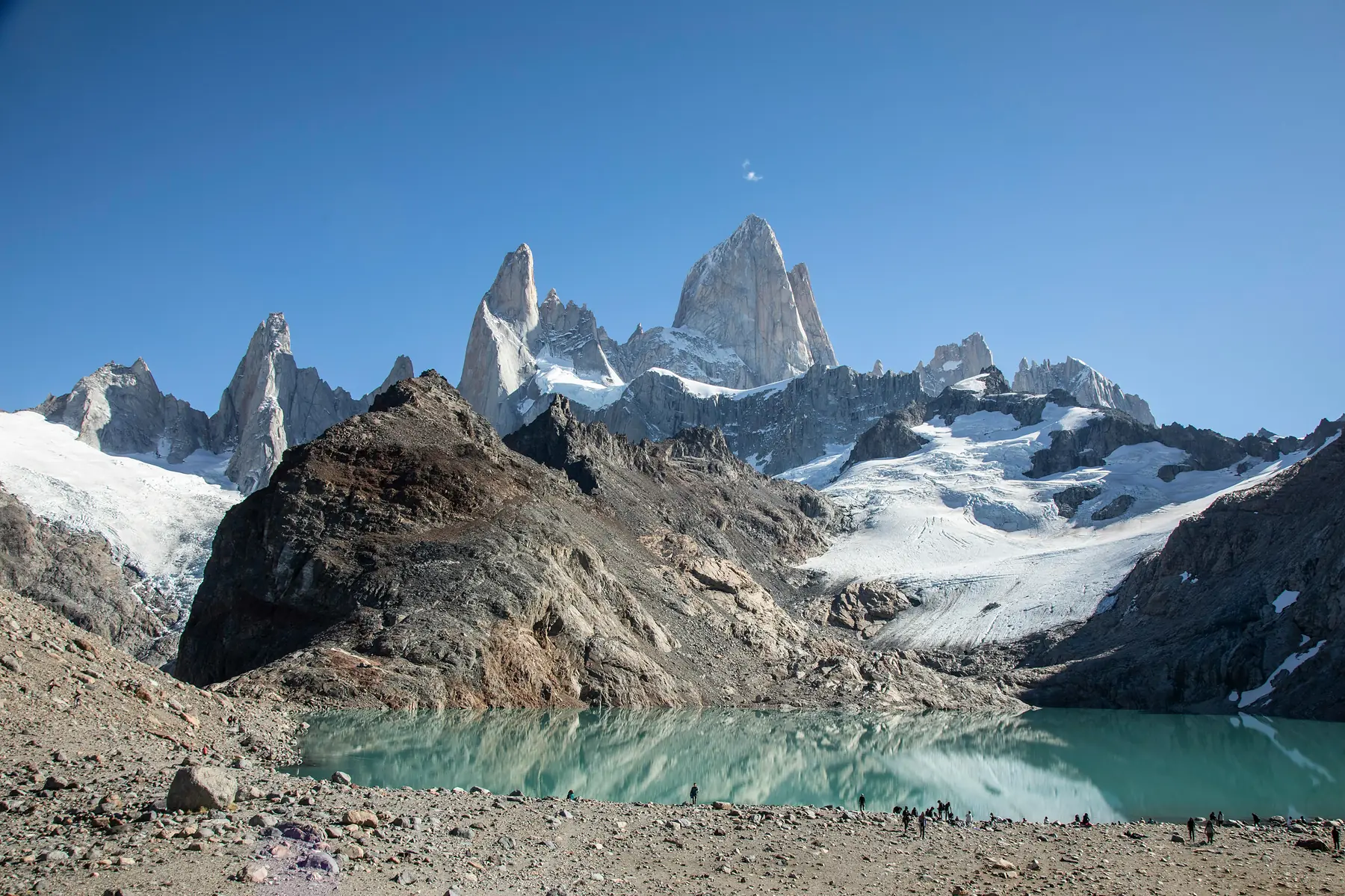 Autumn lenga forests lining the trail toward Fitz Roy.