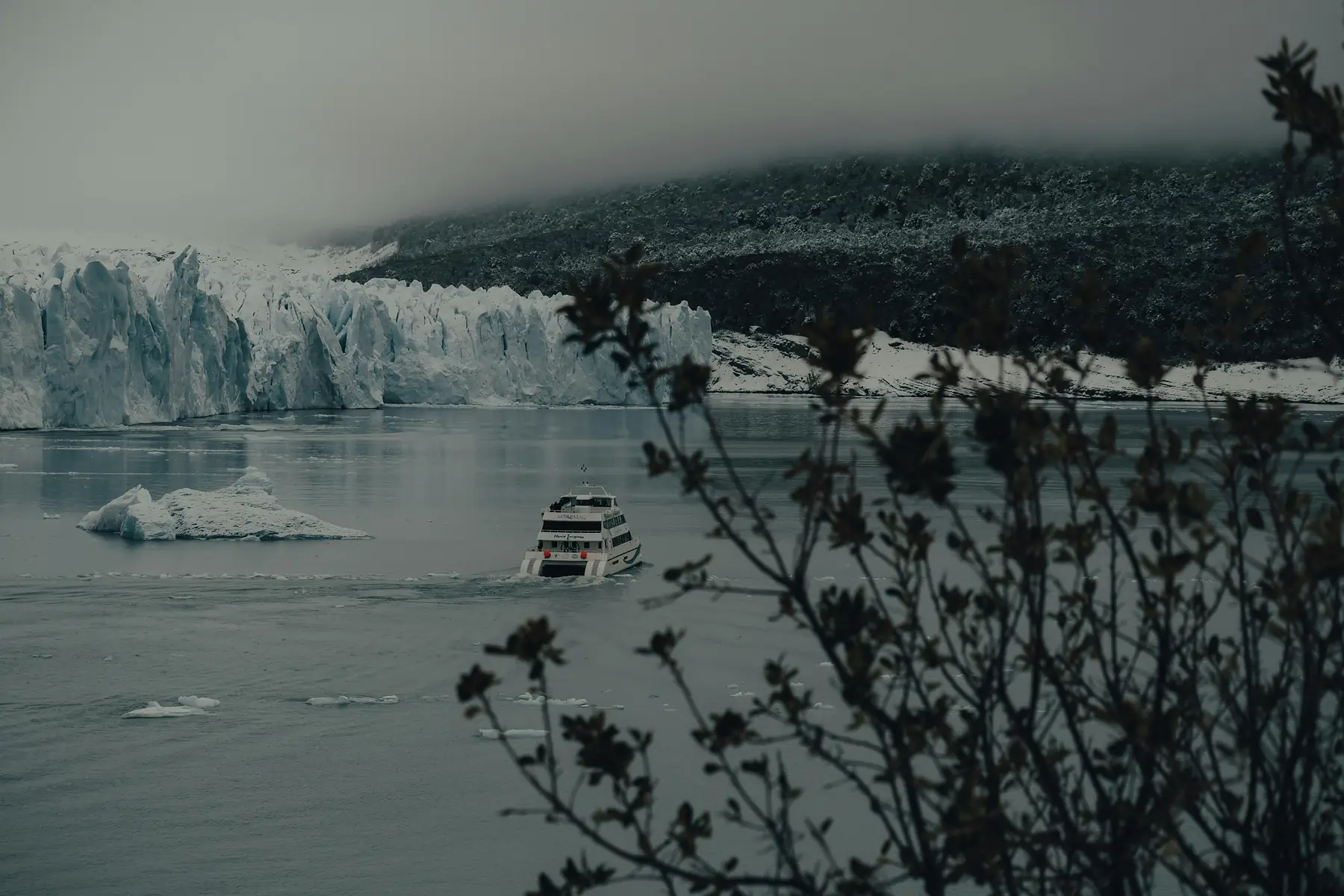 Expedition cruise
