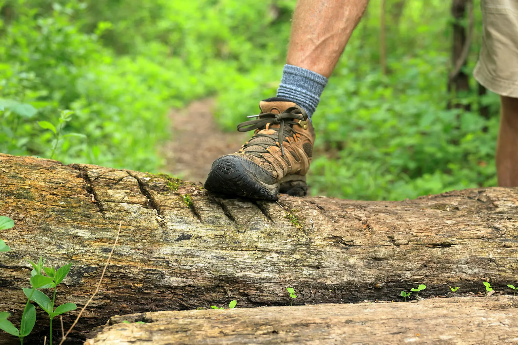 Muddy hiking boots drying at a Patagonian campsite after a rainy trek