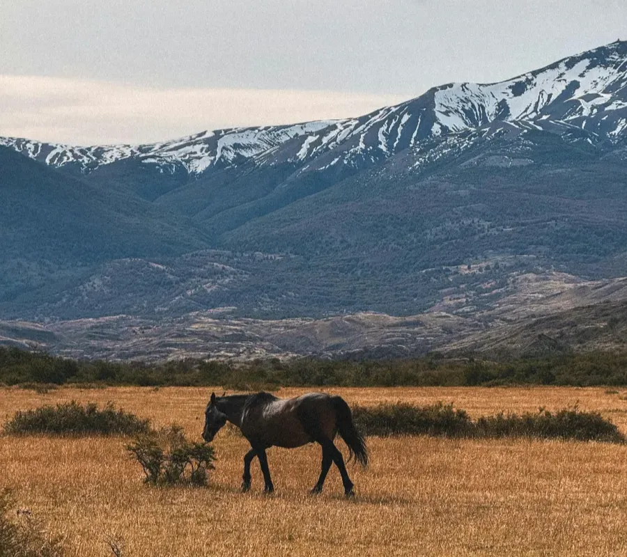 A rider on horseback crossing a wide Patagonian river valley