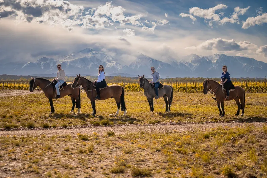 Horseback riders on a dusty trail through the golden Patagonian grasslands