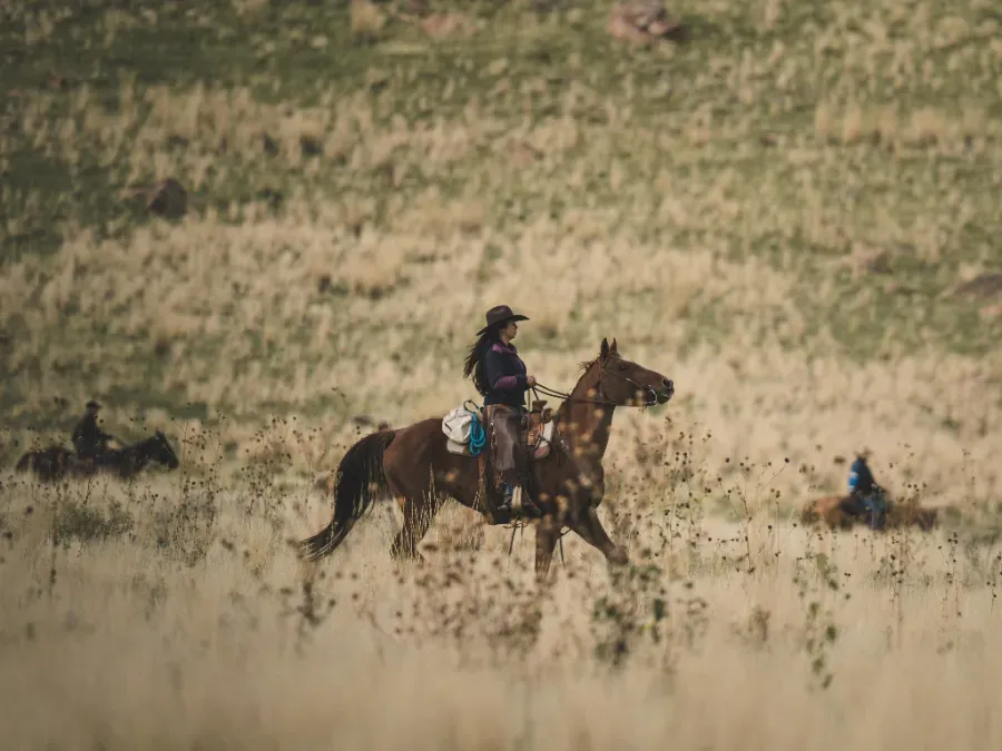 A gaucho leading horses along a remote Patagonian trail at golden hour