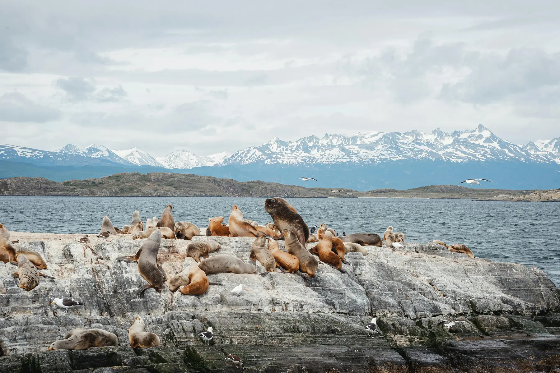 Peninsula Valdés