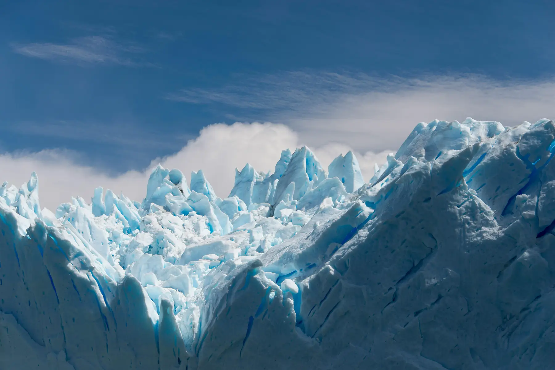 Patagonian estancia landscape