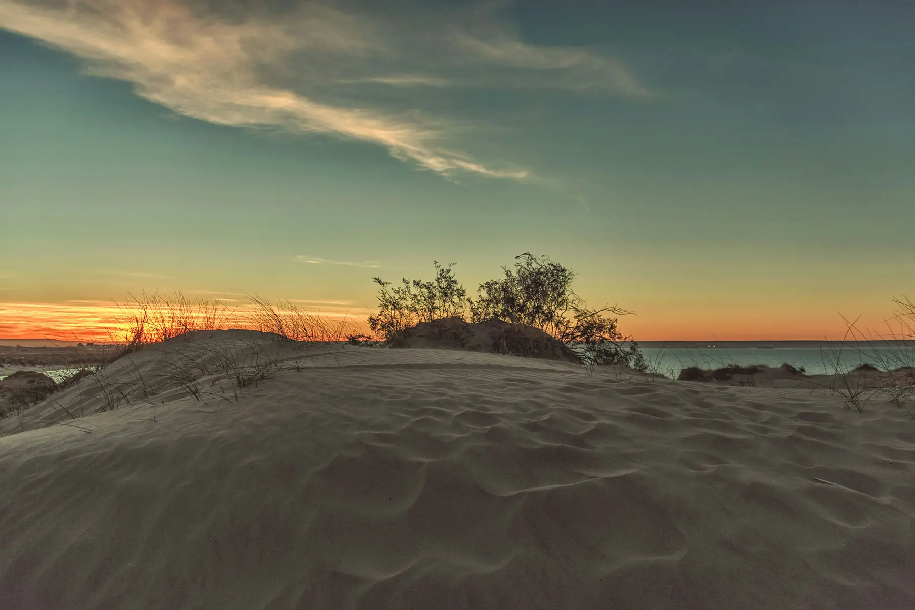 Coastal trails near Puerto Madryn