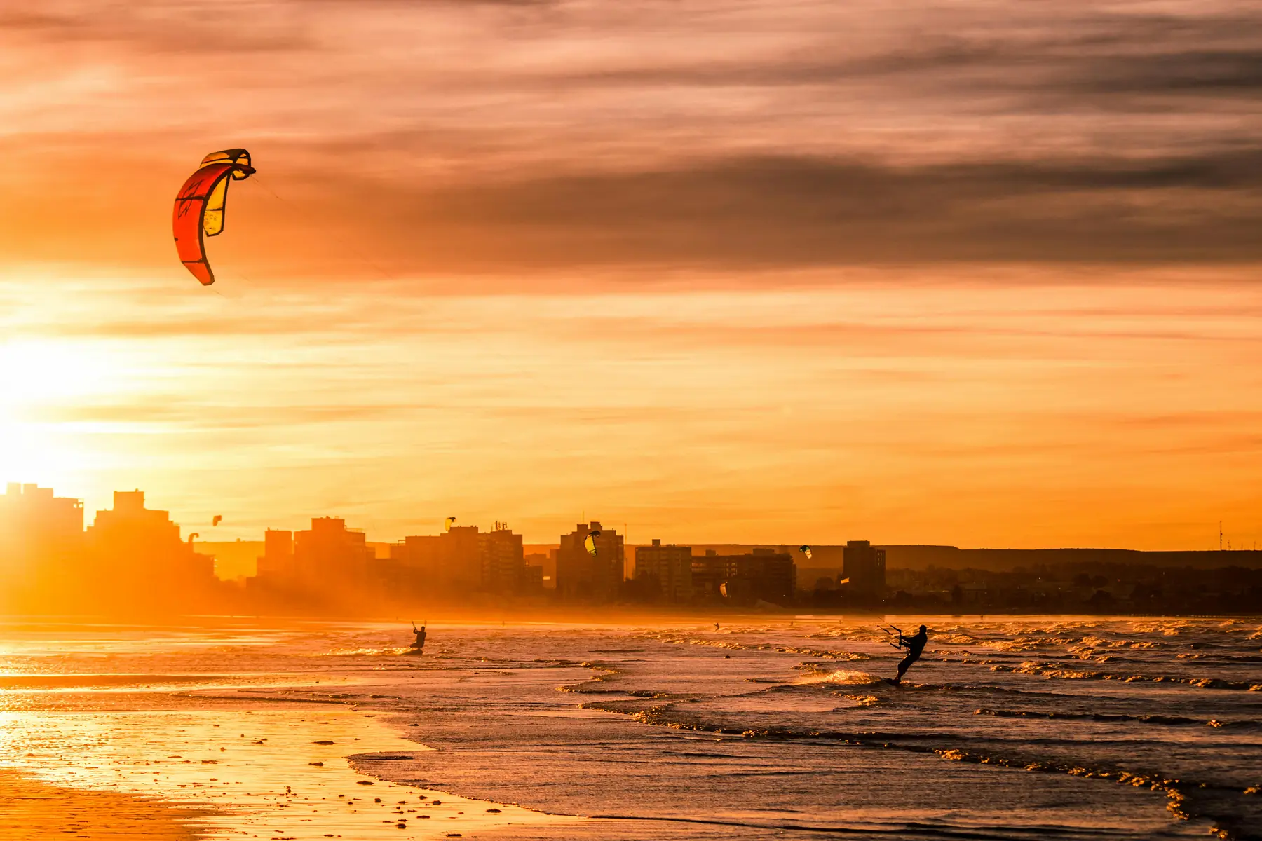 Wildlife tours from Puerto Madryn