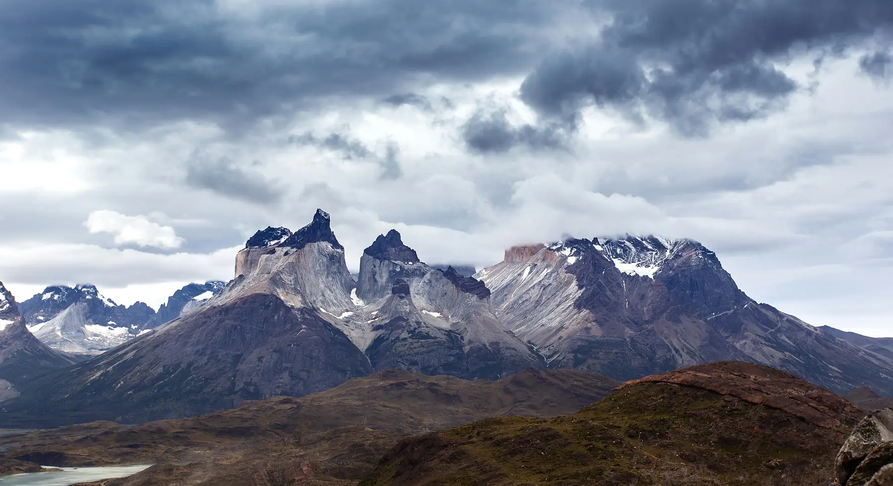 A llama grazing on Patagonian grasslands near a small town