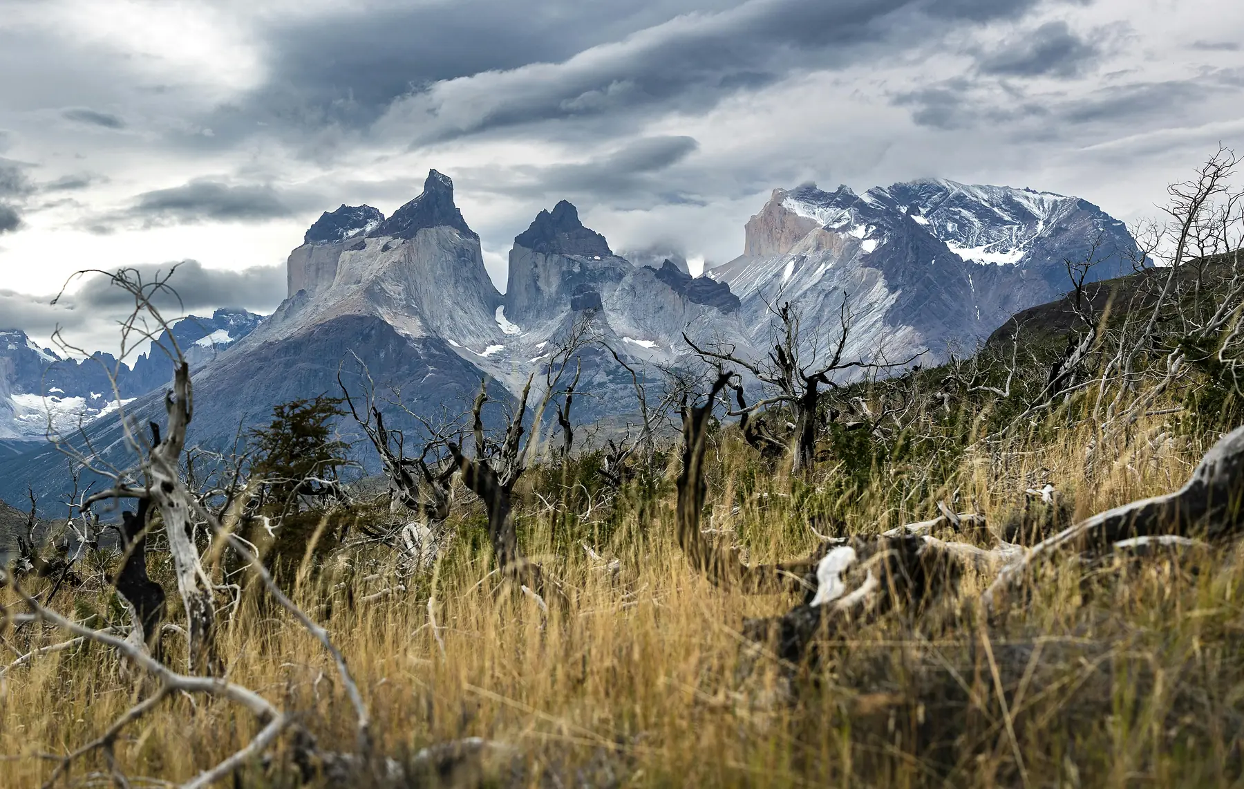 A panoramic view across the park from the Mirador Ferrier trail.