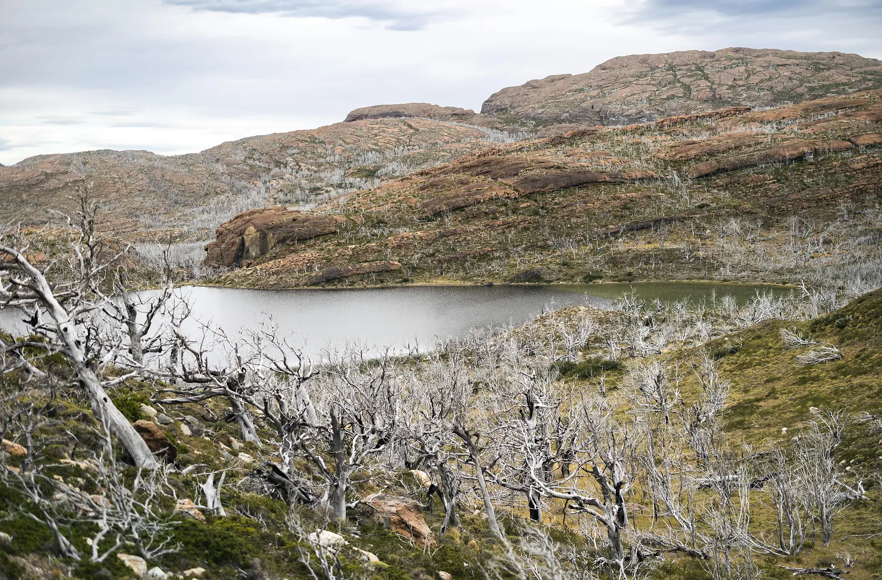 A panoramic view across the park from the Mirador Ferrier trail.