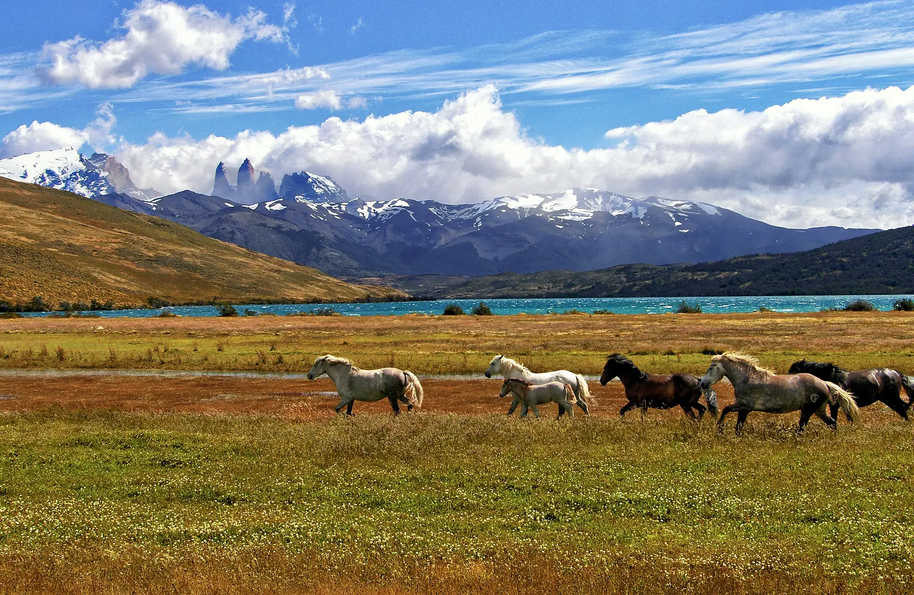 Patagonia landscape