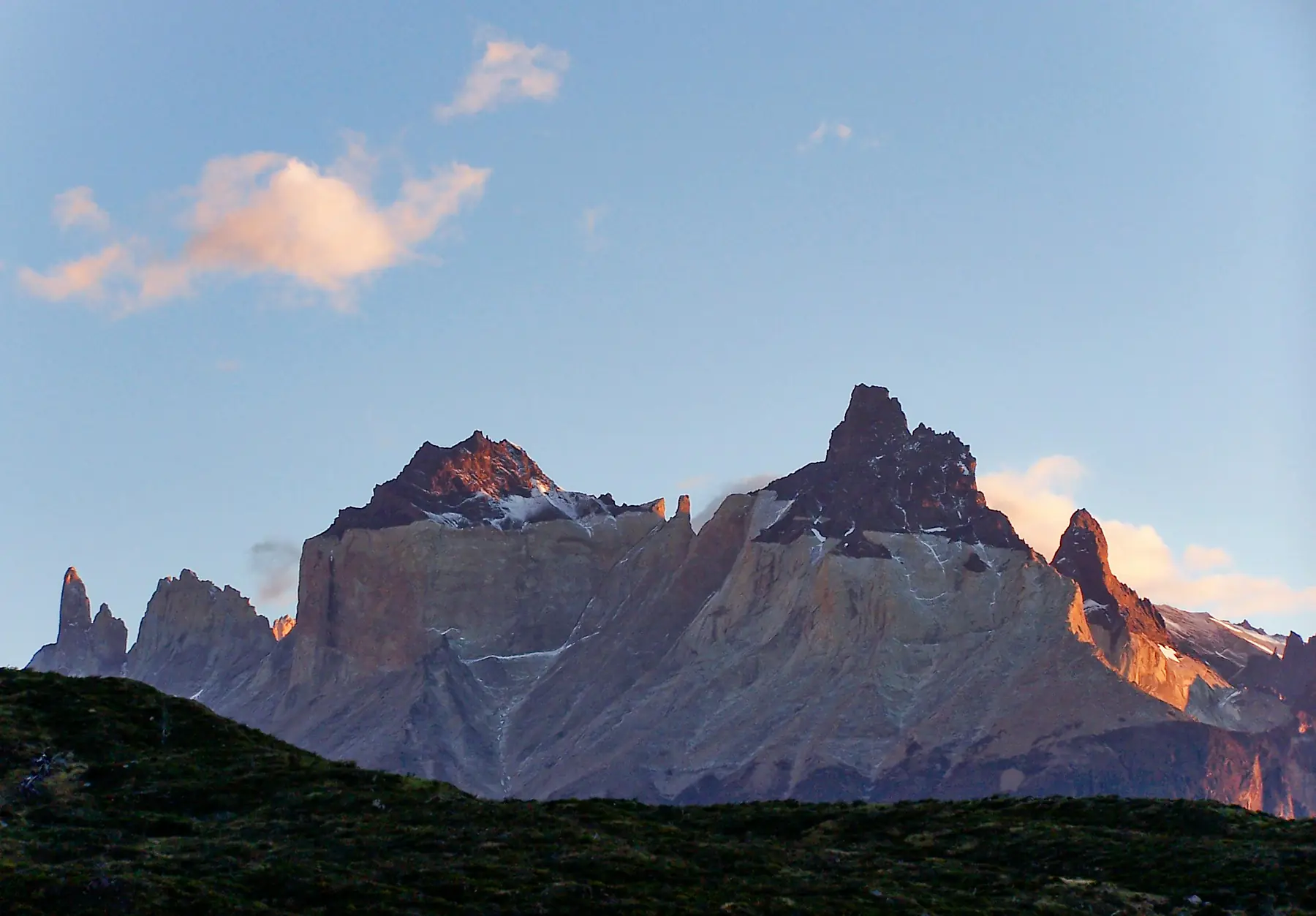 Wild pampas grass framing the distant Paine Massif.