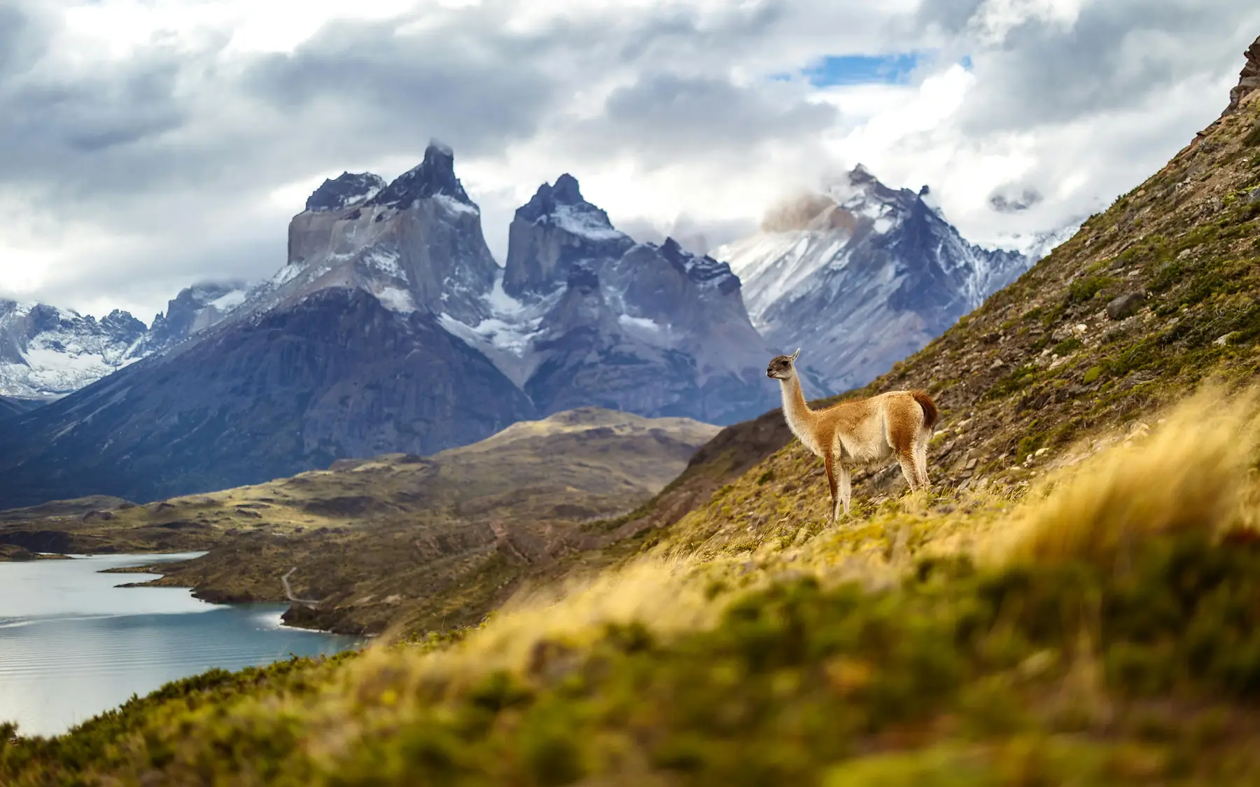 Fitz Roy massif from the road to El Chaltén