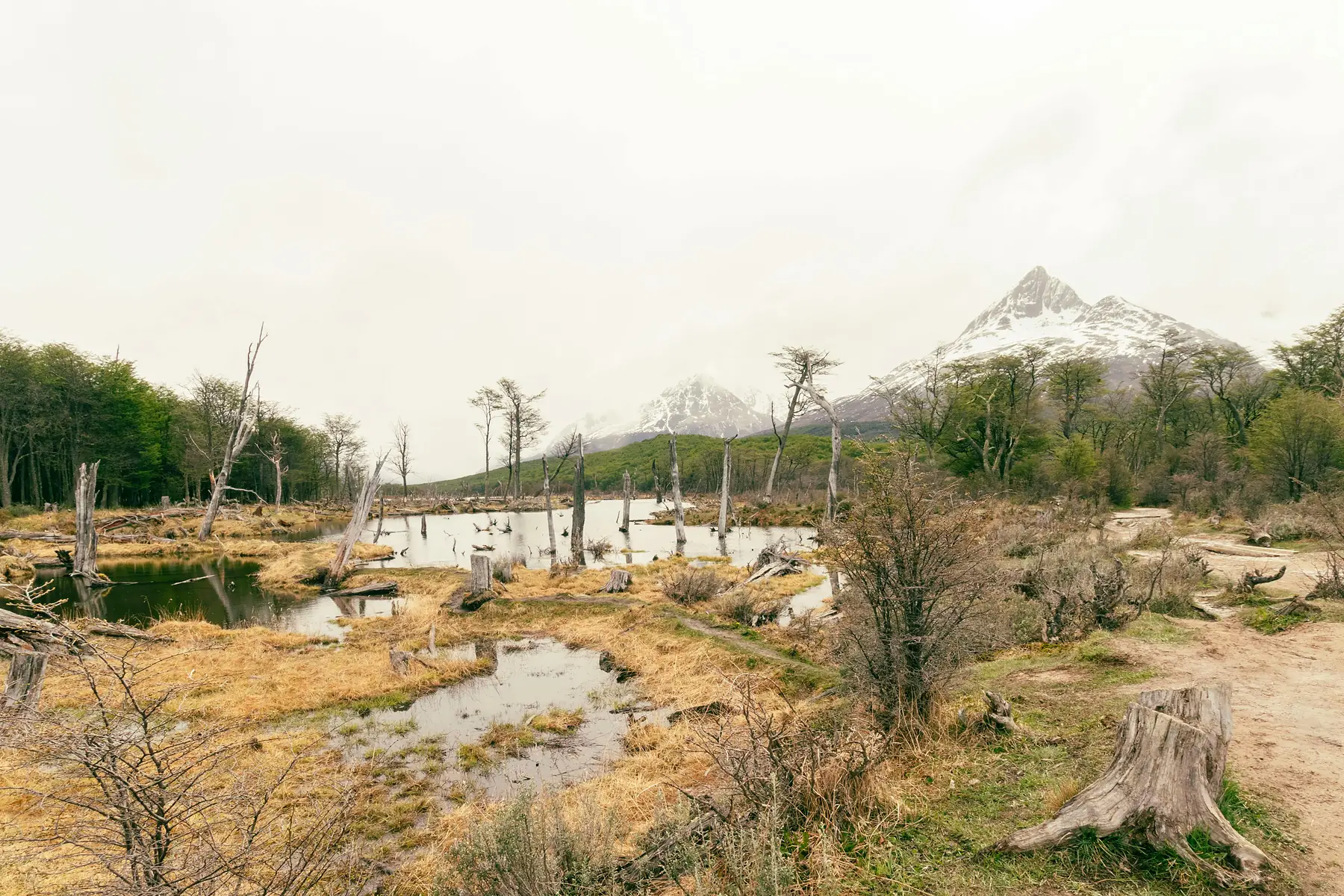 Quiet residential area near Ushuaia airport in Bahía Golondrina